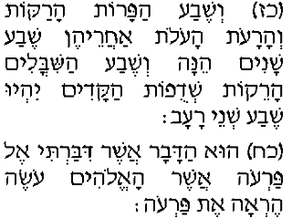 �������, ��. 41.